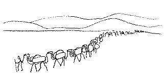 caravanne de chameaux